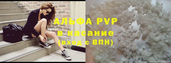 стаф Абинск