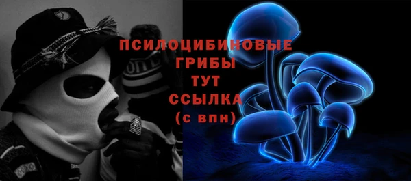 дурь Абаза