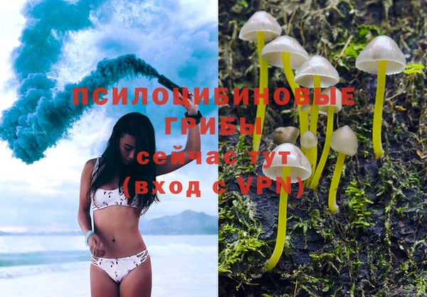 стаф Абинск