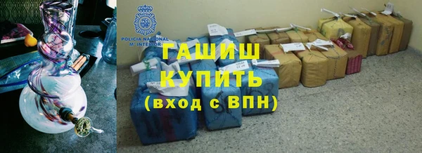 гидра Ельня
