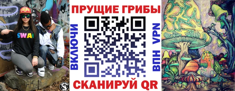 хочу   Шарья  Псилоцибиновые грибы мицелий 
